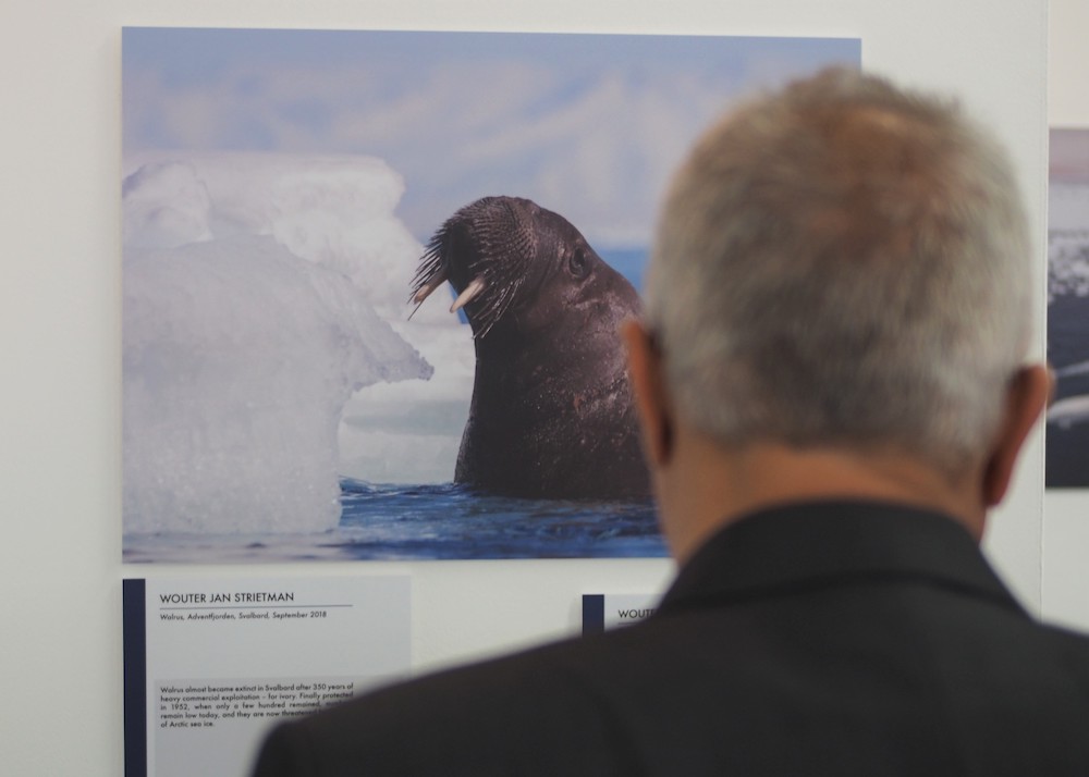 The Arctic On Our Watch at MEPC73, International Maritime Organization