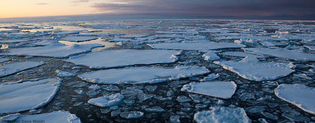 Arctic Sea Ice Loss: World Leaders Must Arrest Arctic Climate