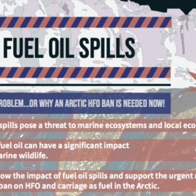 Infographic: Heavy Fuel Oil Spills - Case Studies of a Global Problem